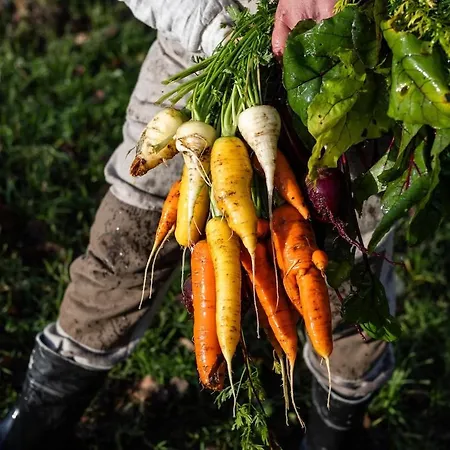Aarvik Organic Farm&bakery * Tveit