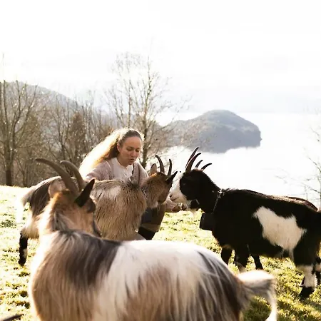 Feriehus Aarvik Organic Farm&bakery *